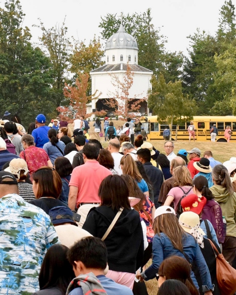 our lady of lourdes procession